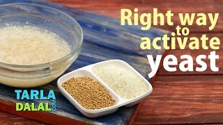 Right Way to Activate the Dry Yeast by Tarla Dalal [upl. by Petromilli]