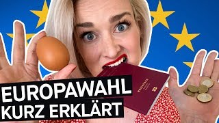 Selbstversuch Was bringt mir die EU Europawahl kurz erklärt  Luisa Neubauer  PULS Reportage [upl. by Noach]