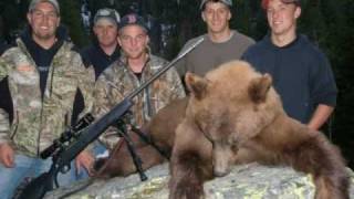 541 Yards Bear Hunting  Long Range Shooting [upl. by Mellisa]