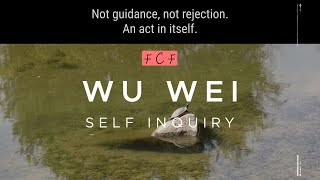 Wu Wei  Action of nonaction  FCF talk [upl. by Siari]