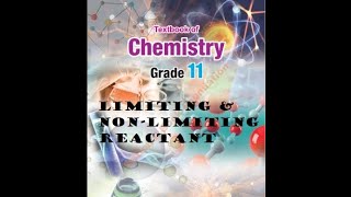 Limiting Reactant  Nonlimiting Reactant  Stoichiometry  Grade 11 Chemistry [upl. by Odnalra434]