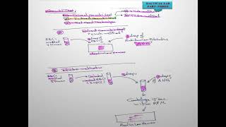 W8 L1BloodBank2024sKhwaiter Coombs Test [upl. by Eutnoj]