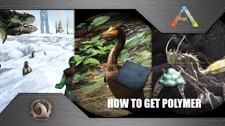 Ark Survival Evolved  How to get Polymer [upl. by Eldnik485]