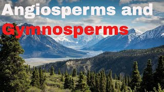 Difference between angiosperm and gymnosperm plants [upl. by Keelby]