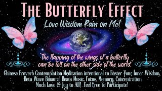 Butterfly Effect Chinese Proverb Contemplation Föster Inner Wisdom Focus Clarity Memory [upl. by Nadabb506]