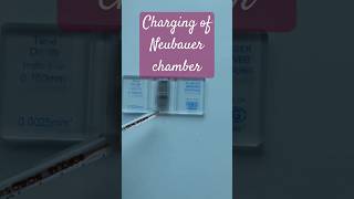 Charging of Neubauer chamber medicalpractice physiology hematology RBC WBC [upl. by Aikas136]