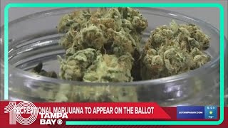 Florida voters will be able to vote on the legality of recreational marijuana on the November ballot [upl. by Nallek]