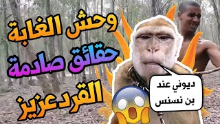 وحش الغابة👹حقائق صادمة💥ابن نسنس🐒مترجم بللغة العربية💁🏽‍♂️ شكرا Zaraspoka♥️ [upl. by Hanae]