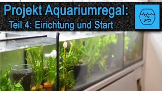 Aquarium Anlage selber bauen Teil 4  Zucht Aquarien für Garnelen und Fische  Aquarium einrichten [upl. by Elirpa]