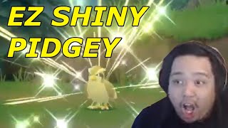 Shiny Swarm Hunting Pidgey with the Poke Radar in Pokemon Brilliant Diamond amp Shining Pearl [upl. by Eelinej]