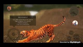 Tiger simulator 2 [upl. by Lewse]