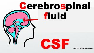 CSF part 2 Interpretation of cell count [upl. by Sandler]