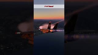 Stunning F14 Tomcat Afterburner Sunset Flight aviation viralvideo shorts [upl. by Aihtela]