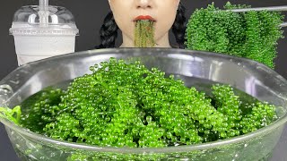 ASMR FOOD MUKBANG 먹방 EATING SEA GRAPES IN A BOWL amp DRINKING MILK TEA [upl. by Alisia420]