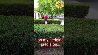 Problem with Batteries hedging gardening daisy timelapse shorts [upl. by Atnwahs]