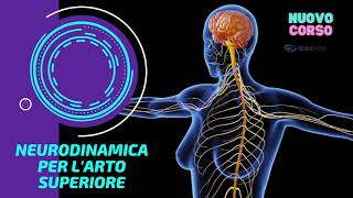 Neurodinamica per larto Supeiore [upl. by Bowes]