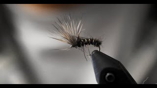 Mayfly Emerger  Fly Tying Tutorial  super easy to tie [upl. by Kingsley]