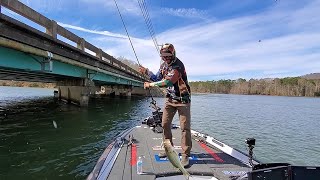 Chris Zaldain Bassmaster Classic Boat Traffic [upl. by Ggerc]