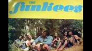 Funkees  Dance with me 1977wmv [upl. by Stubstad]