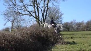 Cottesmore Hunt and Heythrop Hunt Knossington 16 Feb 16 001 [upl. by Sarette]