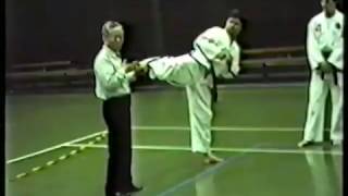 1994 ITF Taekwondo seminar with General Choi in Poland part 2 [upl. by Janela]