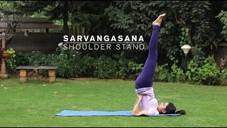 How to do Sarvangasana  Shoulder Stand Yoga Pose [upl. by Eissahc]