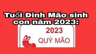 Tuổi Đinh Mão 1987 sinh con năm 2023 Quý Mão có tốt không [upl. by Supmart]