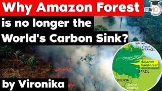 Why Amazon Forest is no longer Worlds Carbon Sink Environment amp Ecology Current Affairs UPSC [upl. by Hunt570]