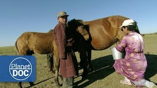 Genghis Khan Nomadic Desert  Culture  Planet Doc Full Documentaries [upl. by Harris178]