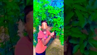 Lakdi ka Kathi 🥳 DJ remix 🤪 short 😋 viral YouTube 😳 funny [upl. by Eiuqnom940]