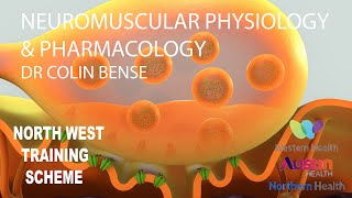 Neuromuscular Physiology and Pharmacology with Dr Colin Bense 2020 [upl. by Ecnadnak]