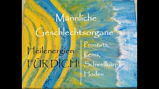 Männliche Geschlechtsorgane I Prostata I Penis I Schwellkörper I Hoden  Heilenergien FÜR DICH [upl. by Naamann]