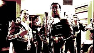 SON DE LA VAQUILLA  MARIACHI NUEVO TECALITLAN  MARIACHI CHANNEL STUDIO SESSIONS [upl. by Adella218]