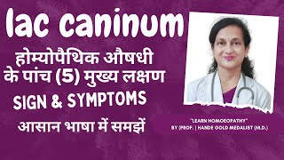 lac Caninum Homoeopathic Medicine Explained By Dr Hande Five Main Symptoms  BHMS [upl. by Narhem]