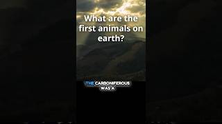 What Are The First Animals On Earth  The Carboniferous Period [upl. by Morril]