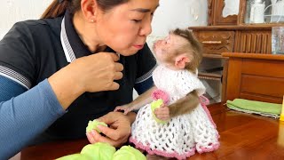 Monkey Tina shows special affection for her mother as a thank you [upl. by Camp]