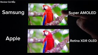 Apple Retina XDR OLED vs SAMSUNG Super AMOLED display Comparison in 2023 [upl. by Marcie]