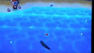 Animal Crossing City Folk Catching The Super rare Coelacanth [upl. by Loss]