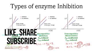 Types of enzyme inhibition [upl. by Adnwahsor]