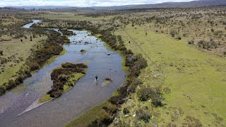 Tasmania boat fly fishing for brown trout mayfly and midge feeders Miena is a real fishy town [upl. by Asi]