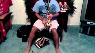 Alto sax mute by crazy cart on Amazoncom rereview [upl. by Burtie]