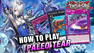 YUGIOH HOW TO PLAY PALEOZOIC TEARLAMENTS COMBOS AND HAND TESTS [upl. by Dempster309]