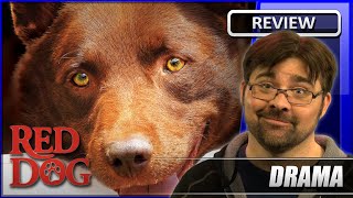 Red Dog  Movie Review 2011 [upl. by Nerita]