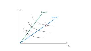 A13 Characteristics demand  Consumption  Microeconomics [upl. by Latimore]