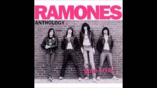 Ramones  quotNeedles amp Pinsquot  Hey Ho Lets Go Anthology Disc 1 [upl. by Aerdnak]