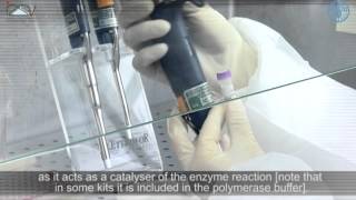 PCR Master Mix preparation and RTPCR [upl. by Bradney368]