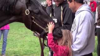 Dance With Fate at Churchill Downs on April 30 2014 [upl. by Eniamej659]