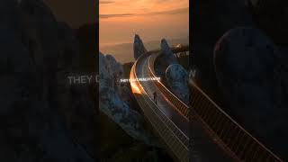 People LIBIANCA  People song  People lyrics  lyrics edit  lyrical edit [upl. by Fritze381]