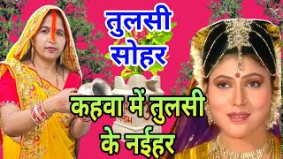 तुलसी गीतtulsi geetकहवा में तुलसी के नईहरkahwa ma tulsi ka nahierviral treanding tulsigeet [upl. by Oniotna]