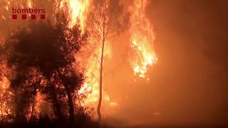 Consells dautoprotecció contra incendis forestals [upl. by Ehudd]